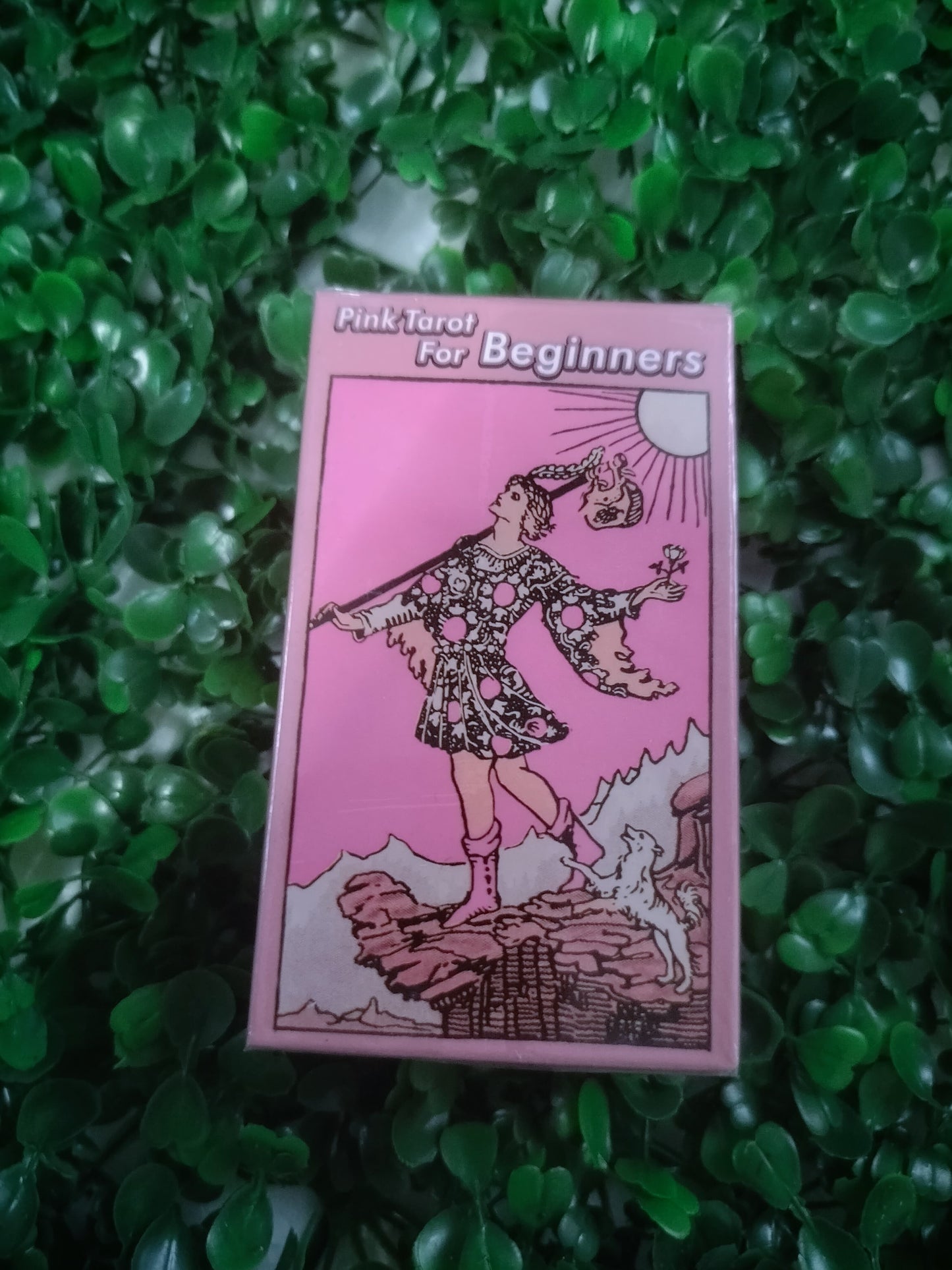 Pink Tarot For Beginners