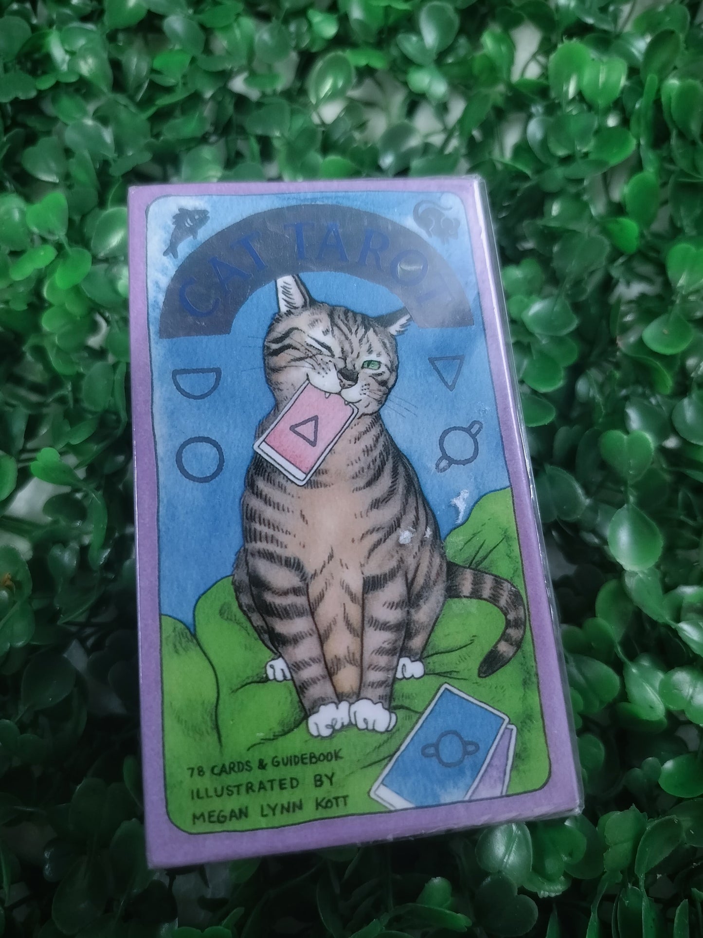 Cat Tarot Cards