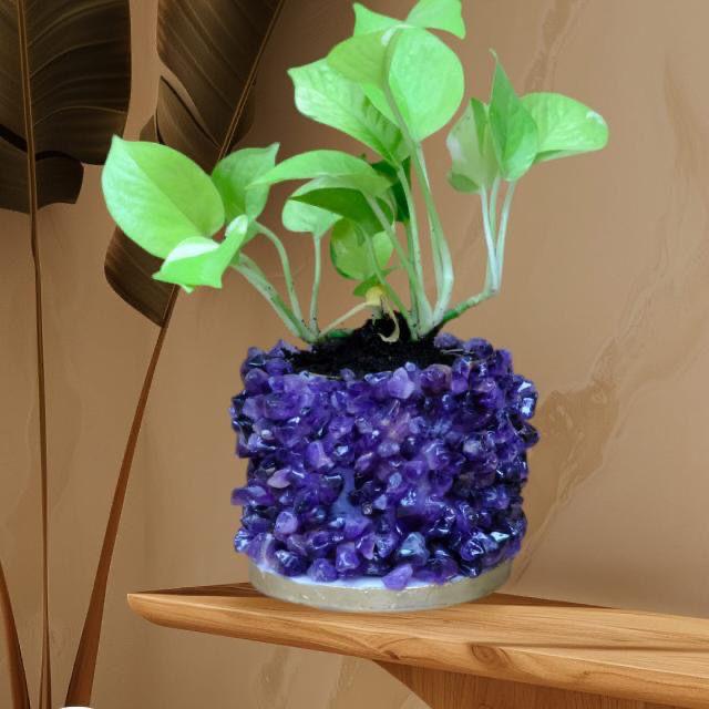 Crystal Garden Planter
