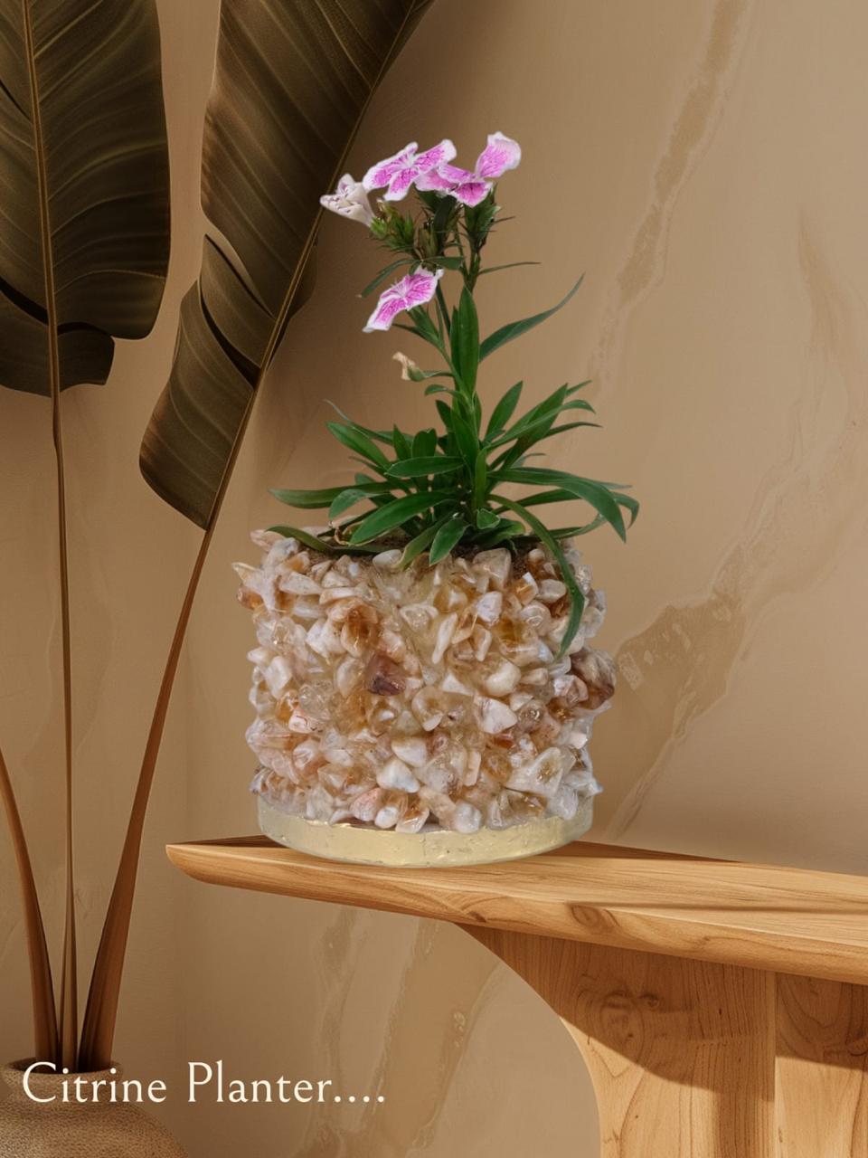 Crystal Garden Planter
