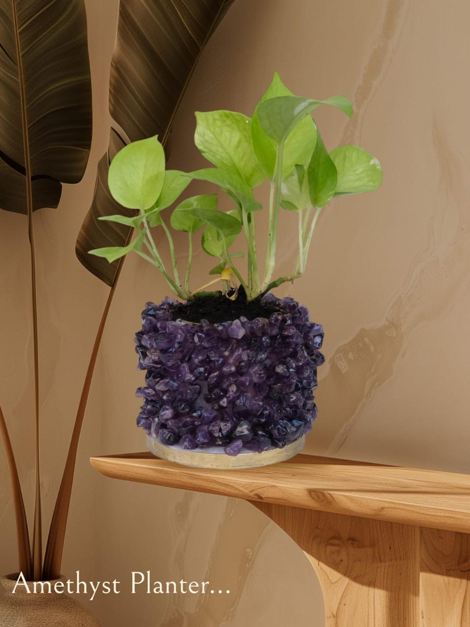 Crystal Garden Planter