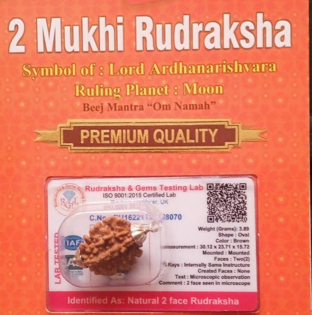 2 Mukhi Rudraksha