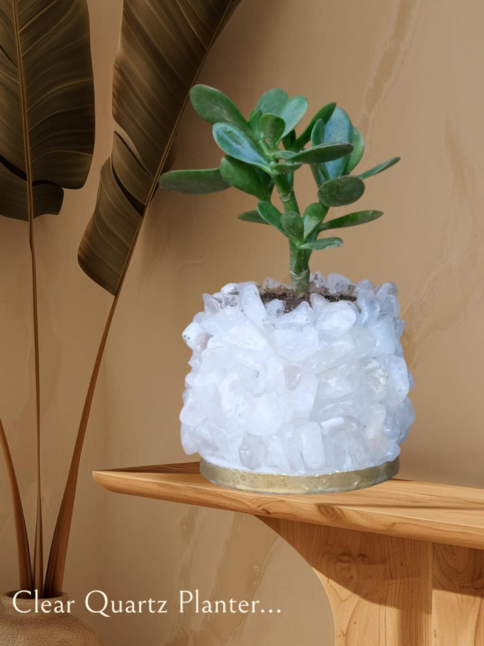 Crystal Garden Planter