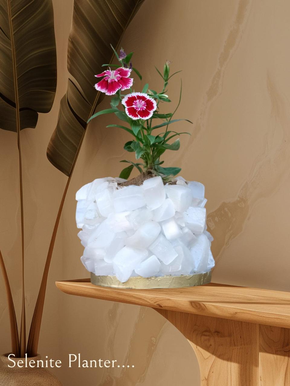 Crystal Garden Planter