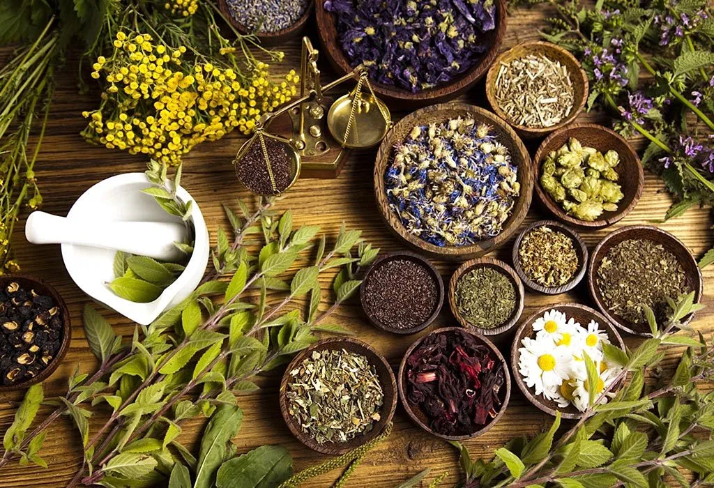 Herbs