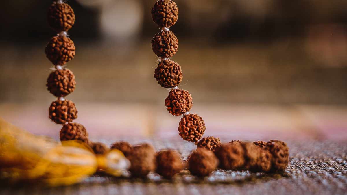 Rudraksha
