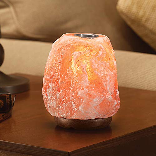 Himalayan lamps and Difuser
