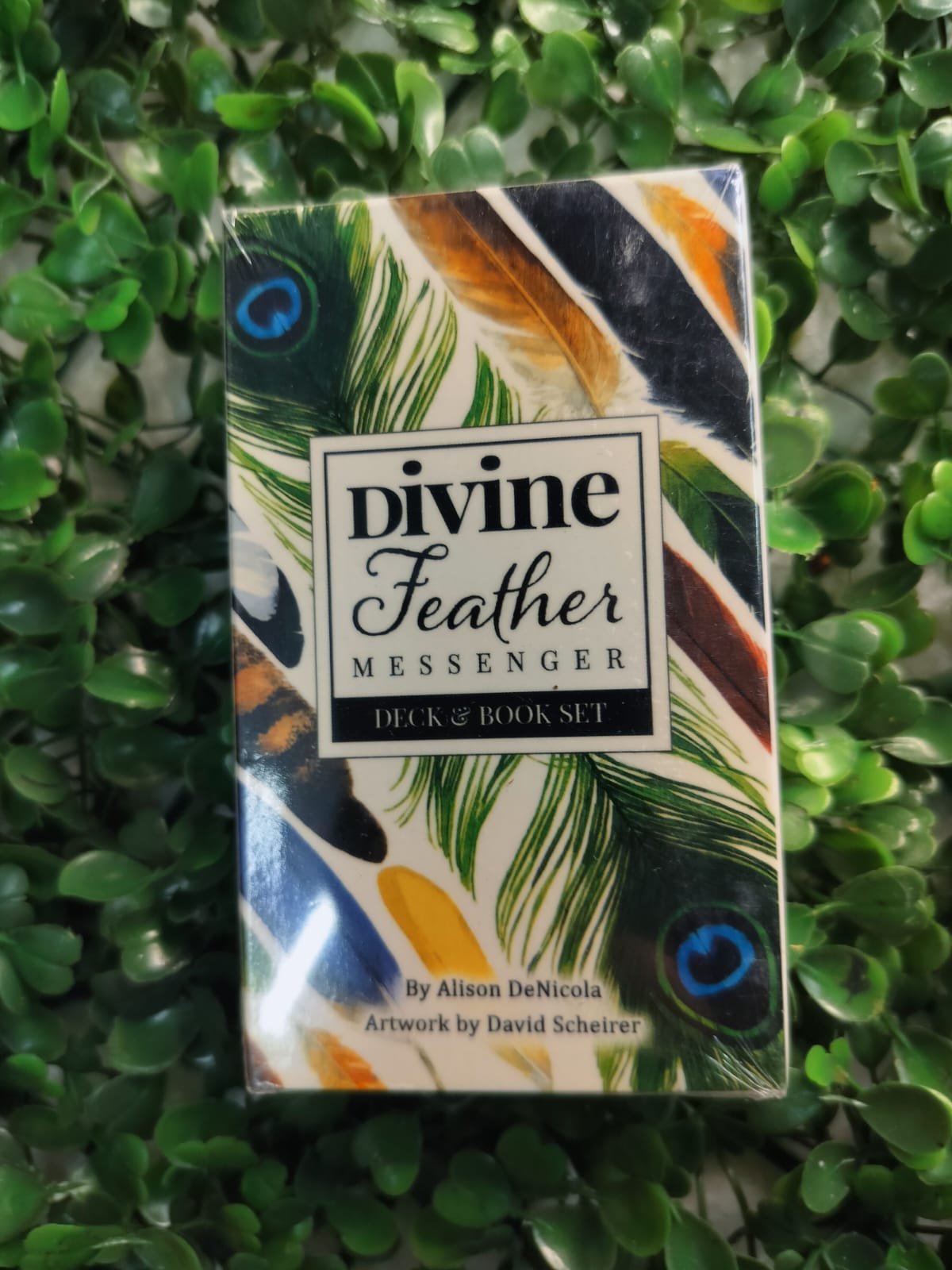 Divine Feather Mesenger Tarot