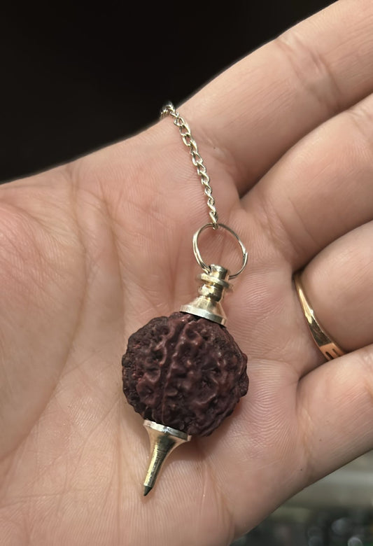 Rudraksha Pendulum