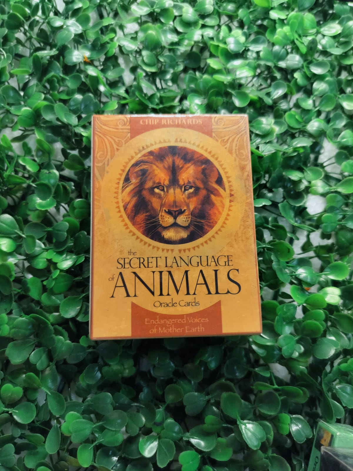 Secret  Language Animals Orcale