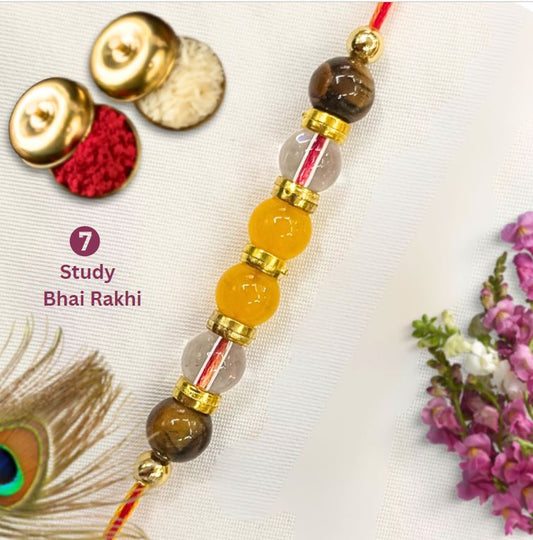 Study Bhai  Rakhi