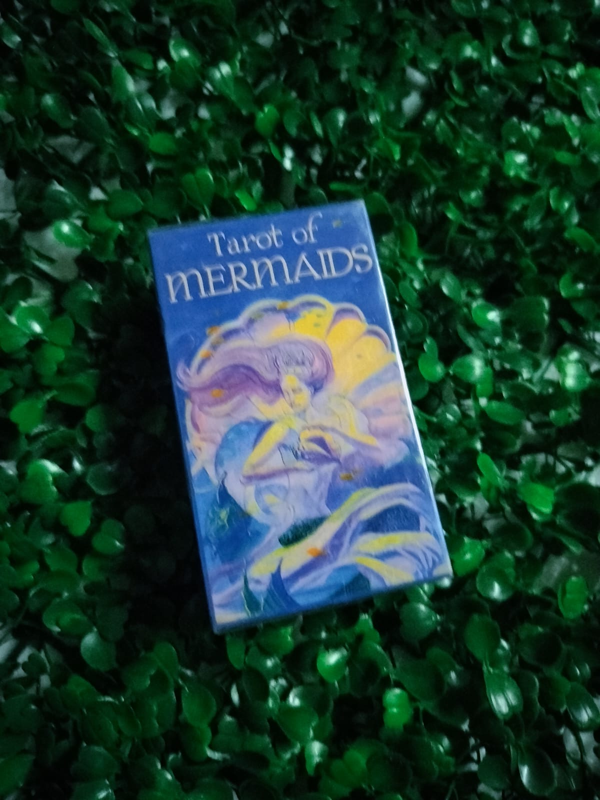 Tarot Od Mermaids