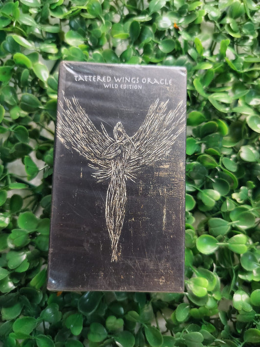 Tattered wings Tarot
