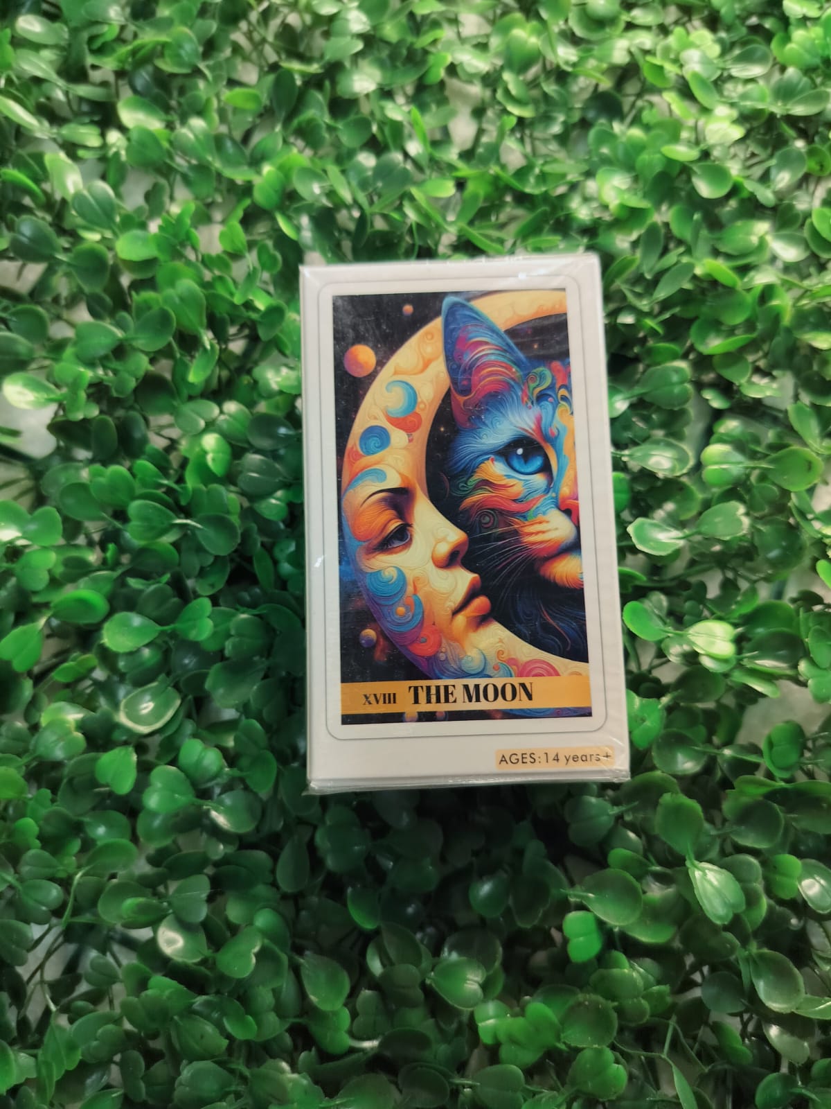 The Moon Tarot