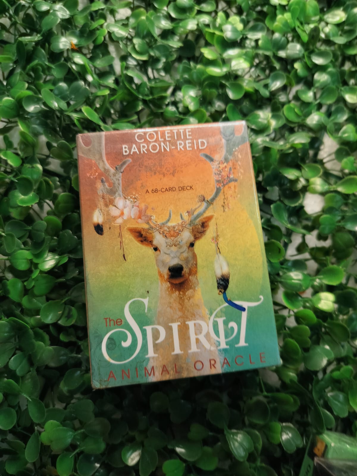 The Spirit Animal Oracle