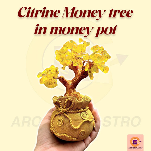 Critine Money tree