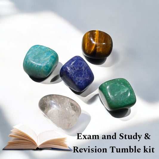 Exam and Study $ Revision Tumble Kit