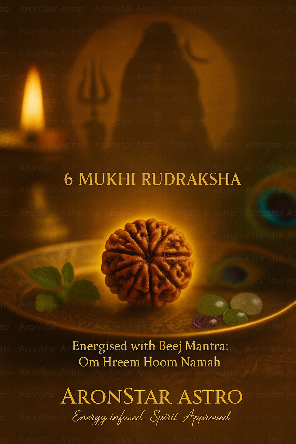 6 Mukhi Rudraksha