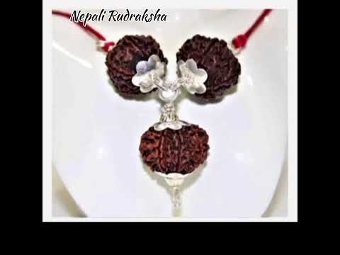 Rudraksha