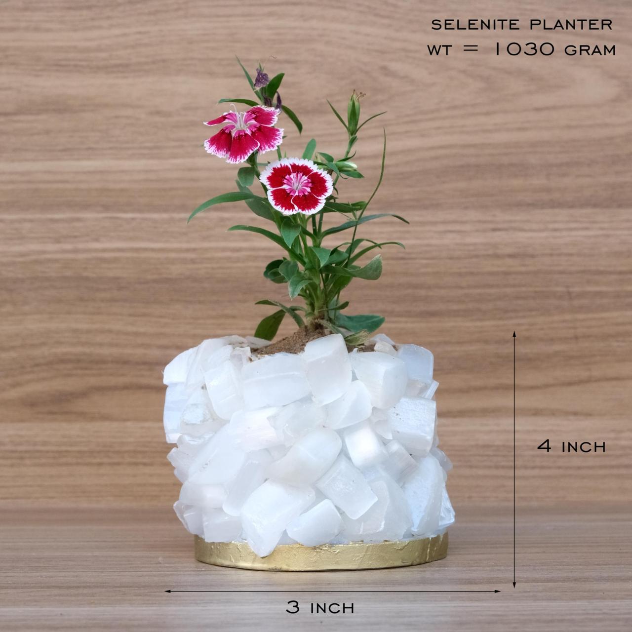 Crystal Garden Planter