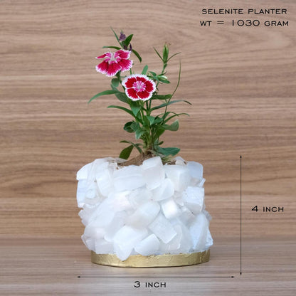 Crystal Garden Planter