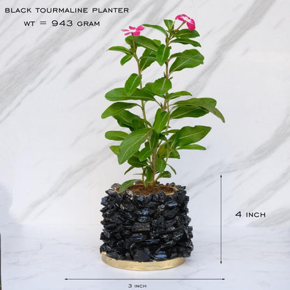 Crystal Garden Planter