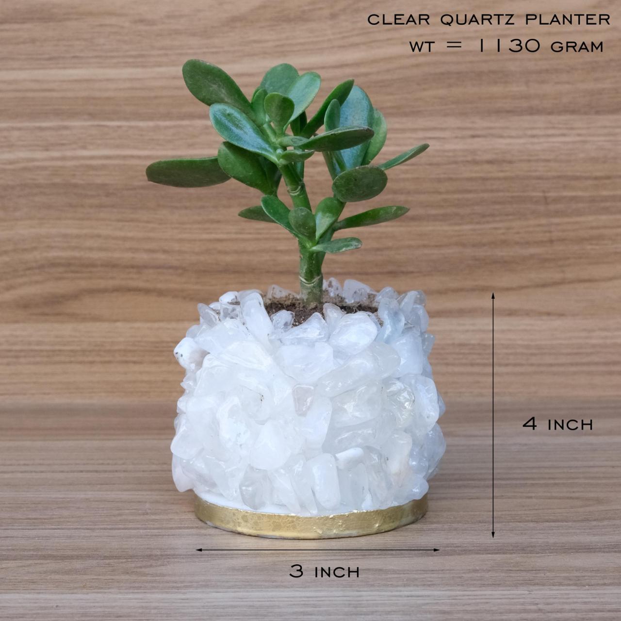 Crystal Garden Planter