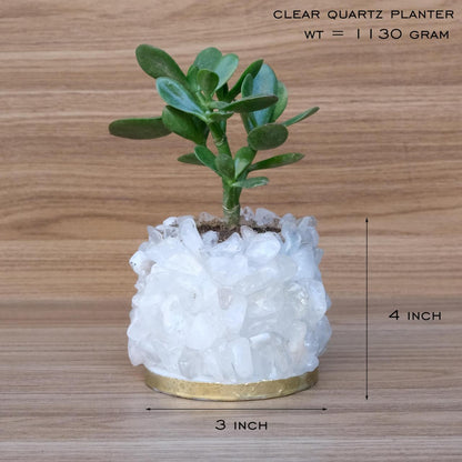 Crystal Garden Planter