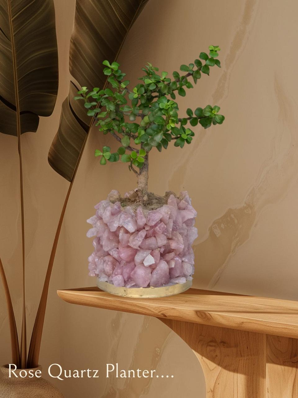 Crystal Garden Planter