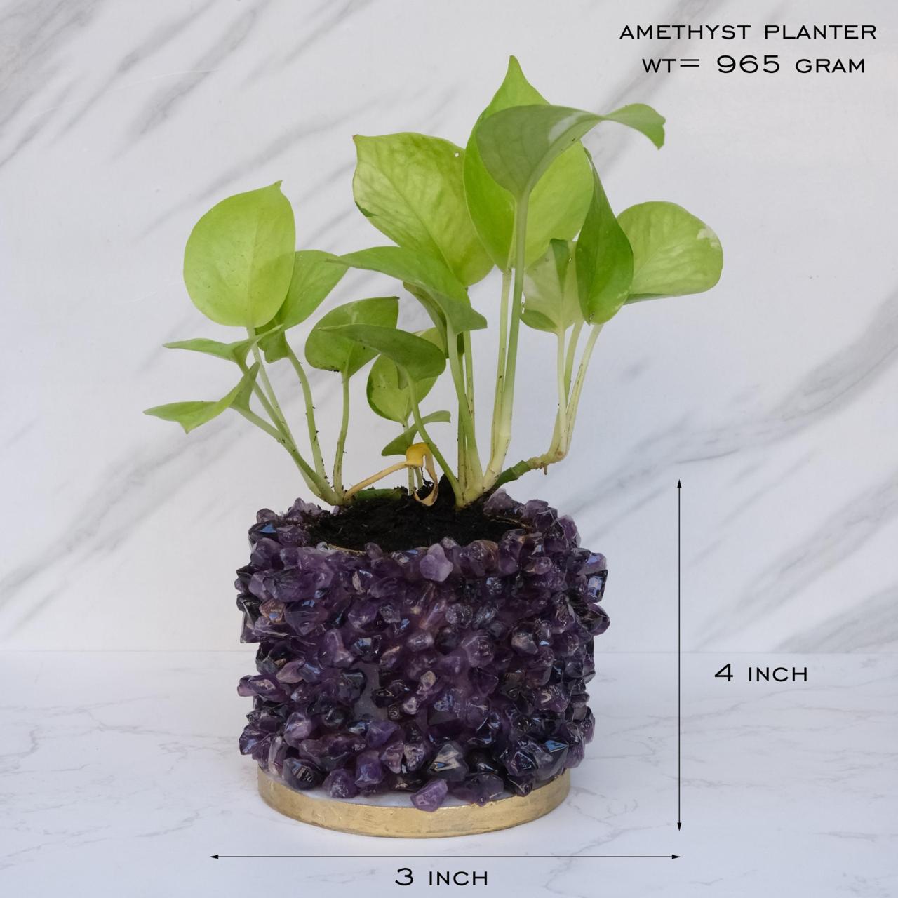 Crystal Garden Planter