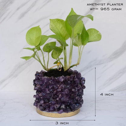 Crystal Garden Planter