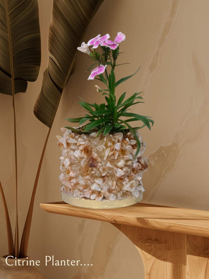 Crystal Garden Planter