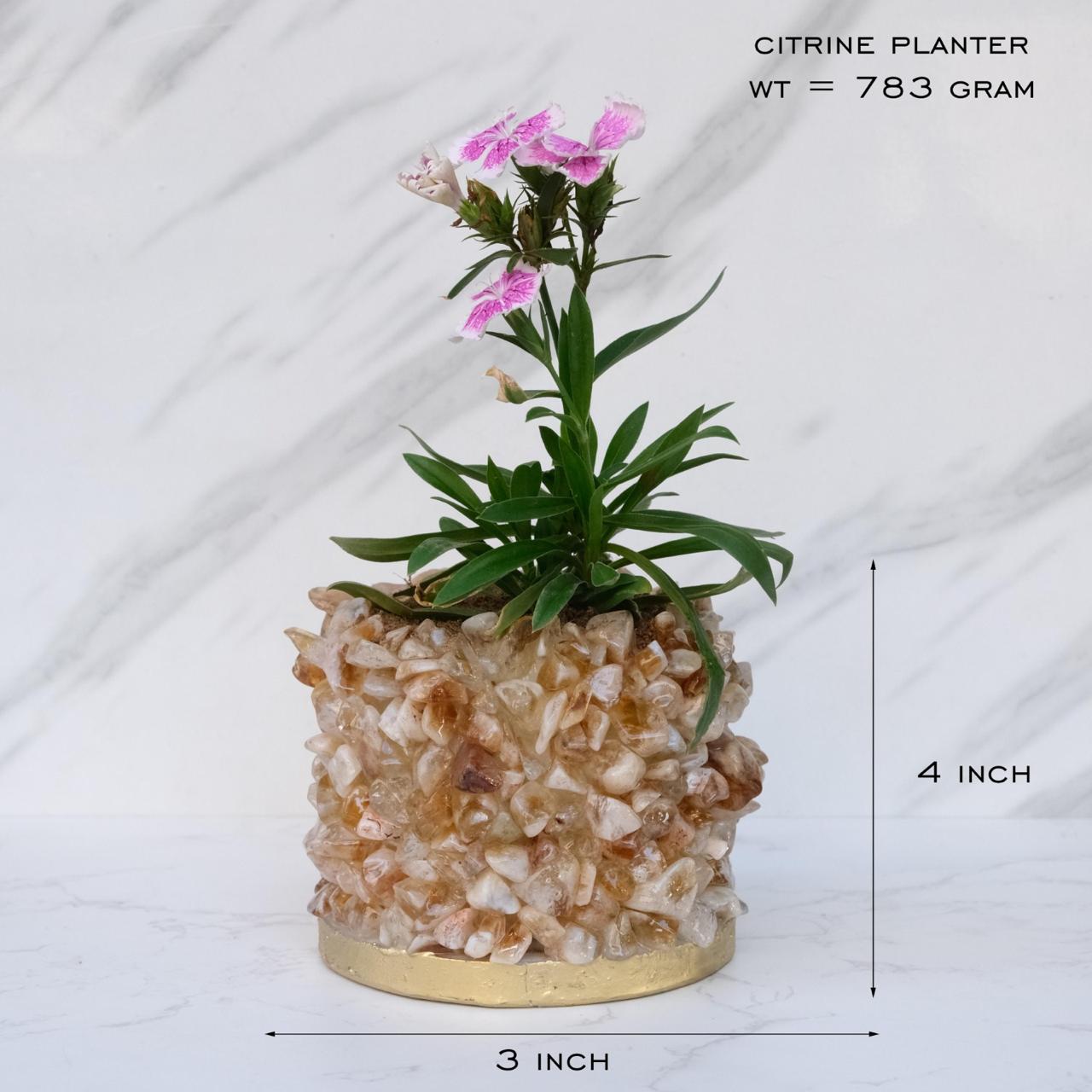 Crystal Garden Planter