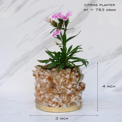 Crystal Garden Planter