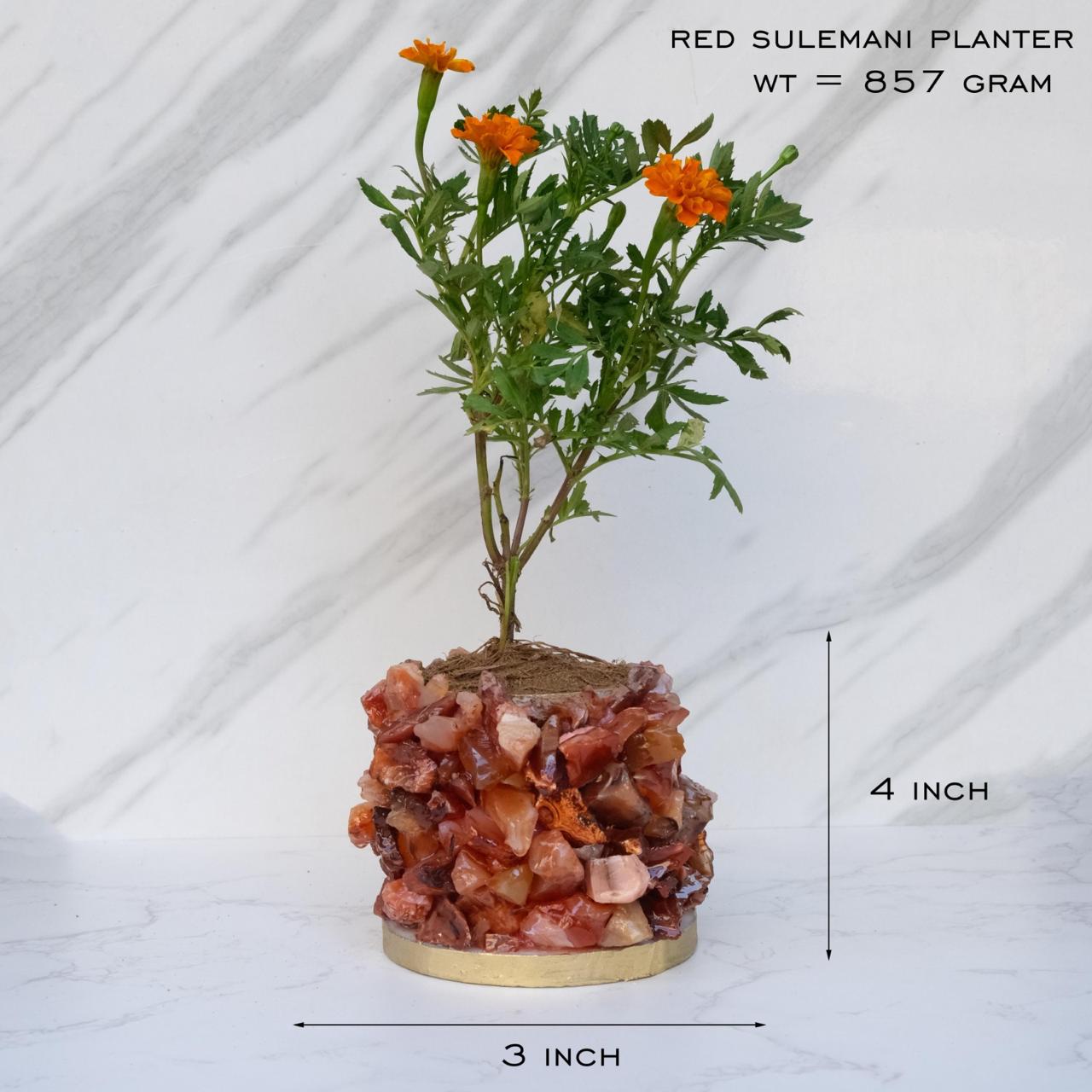 Crystal Garden Planter