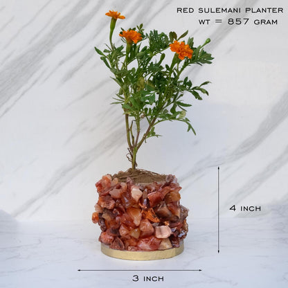 Crystal Garden Planter