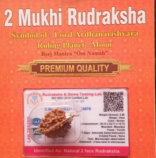 2 Mukhi Rudraksha