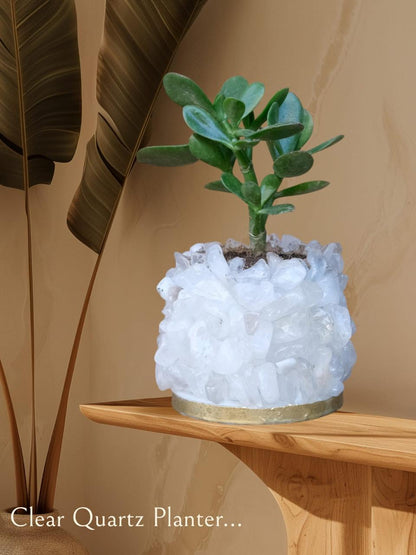Crystal Garden Planter