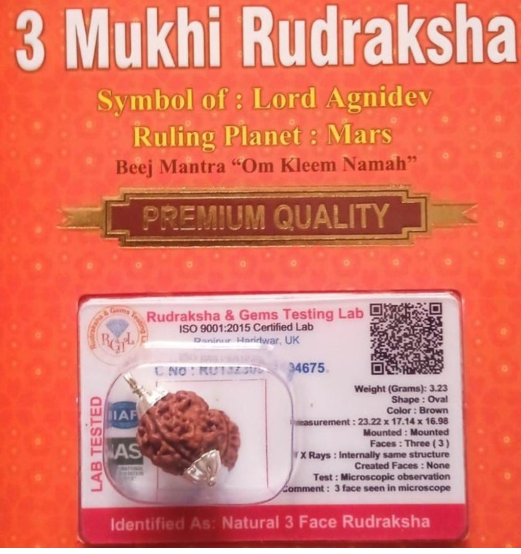 3 Mukhi Rudraksha