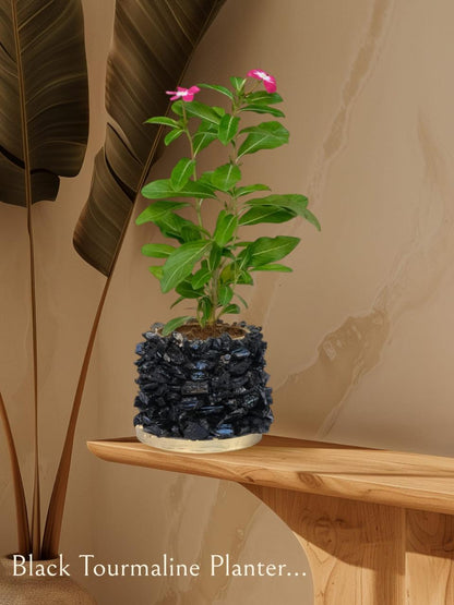 Crystal Garden Planter