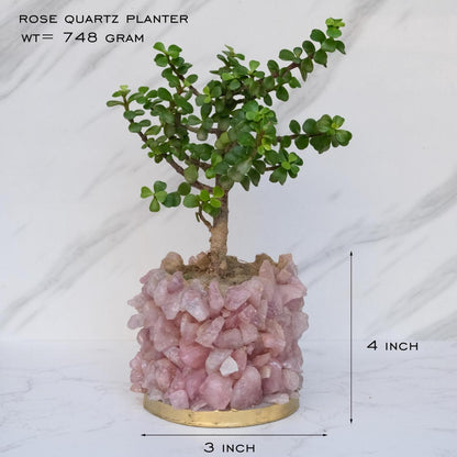 Crystal Garden Planter