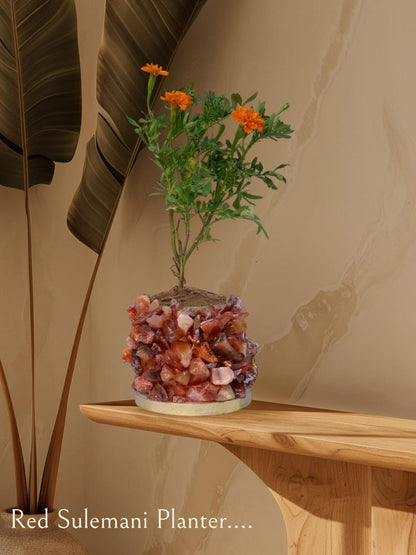 Crystal Garden Planter