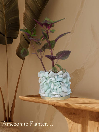 Crystal Garden Planter