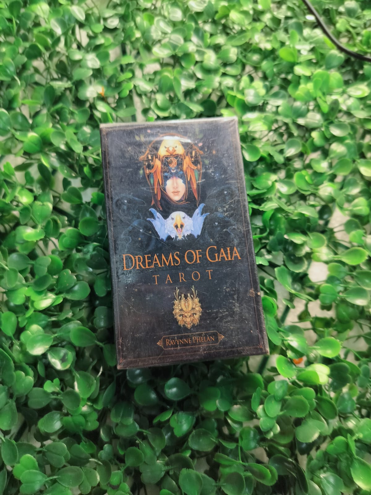Dreams Of Gaia Tarot